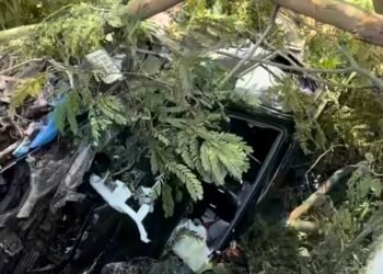 मुजफ्फरपुर में दर्दनाक सड़क हादसा: तेज रफ्तार फॉर्च्यूनर की टक्कर से स्कूटी सवार दो युवतियों की मौत